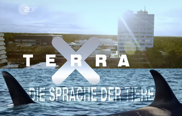 ZDF Terra-X - Die Sprache der Tiere